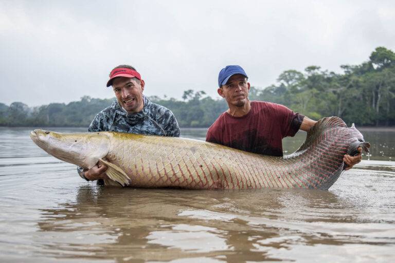 arapaima-angelreise-73
