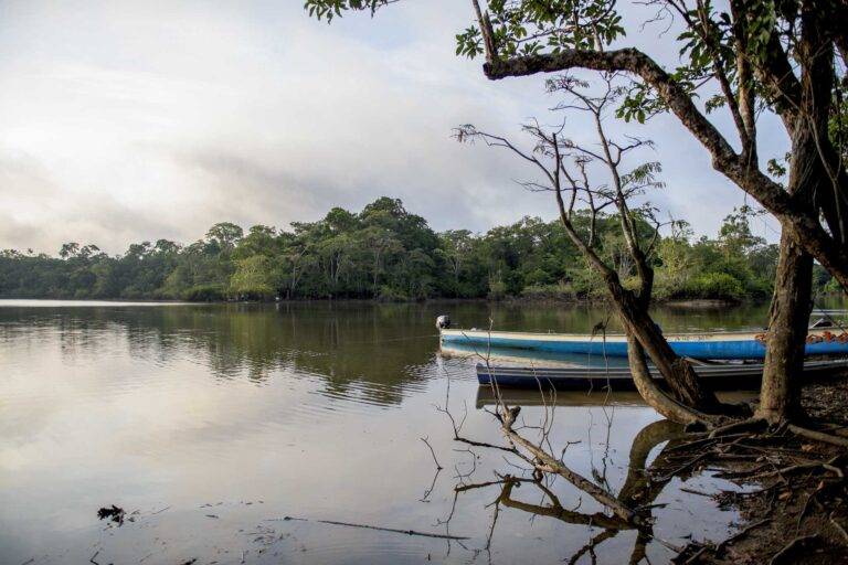 arapaima-angelreise-77