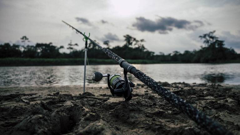 arapaima-angelreise-88