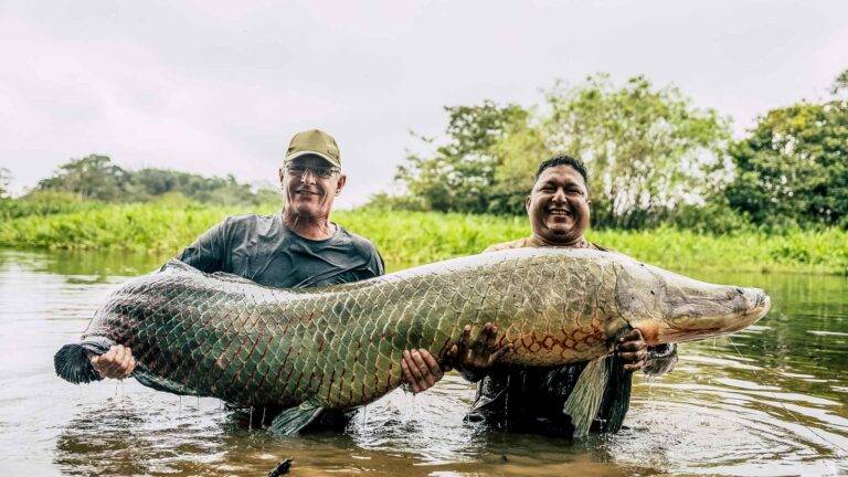 arapaima-angelreise-93
