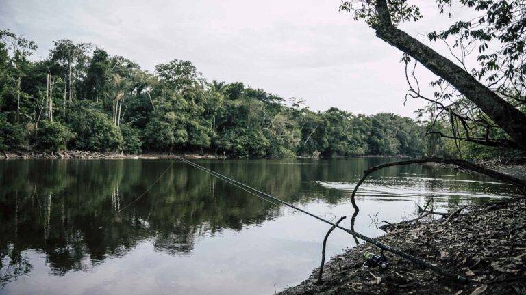 arapaima-angelreise-95