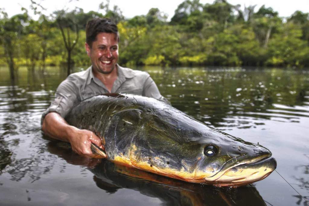 Angler mit Arapaima in Peru