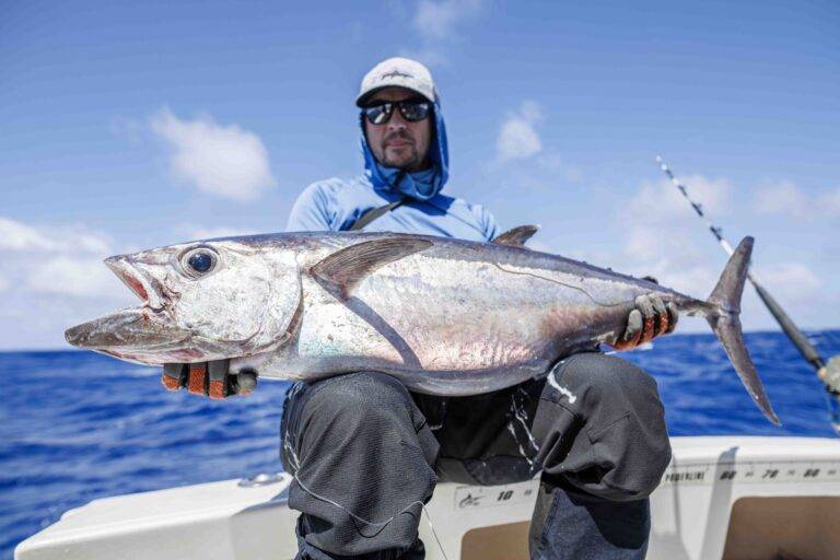 rod_25-5