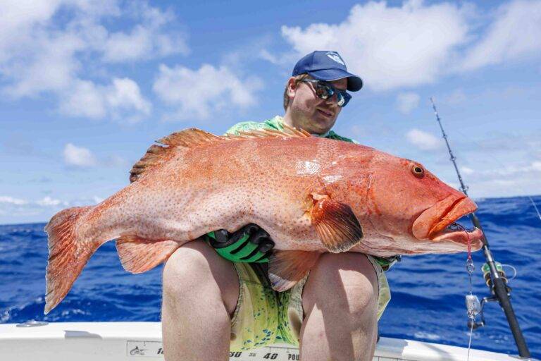 rod_25-6