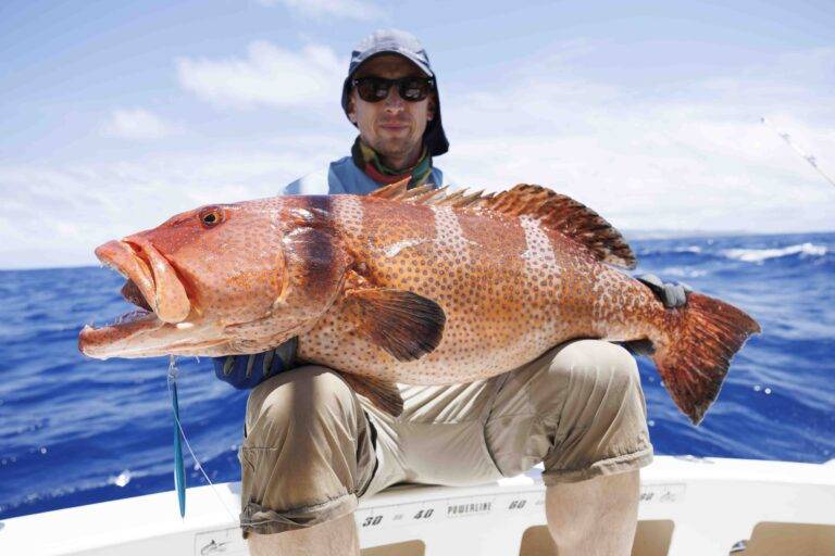 rod_25-7