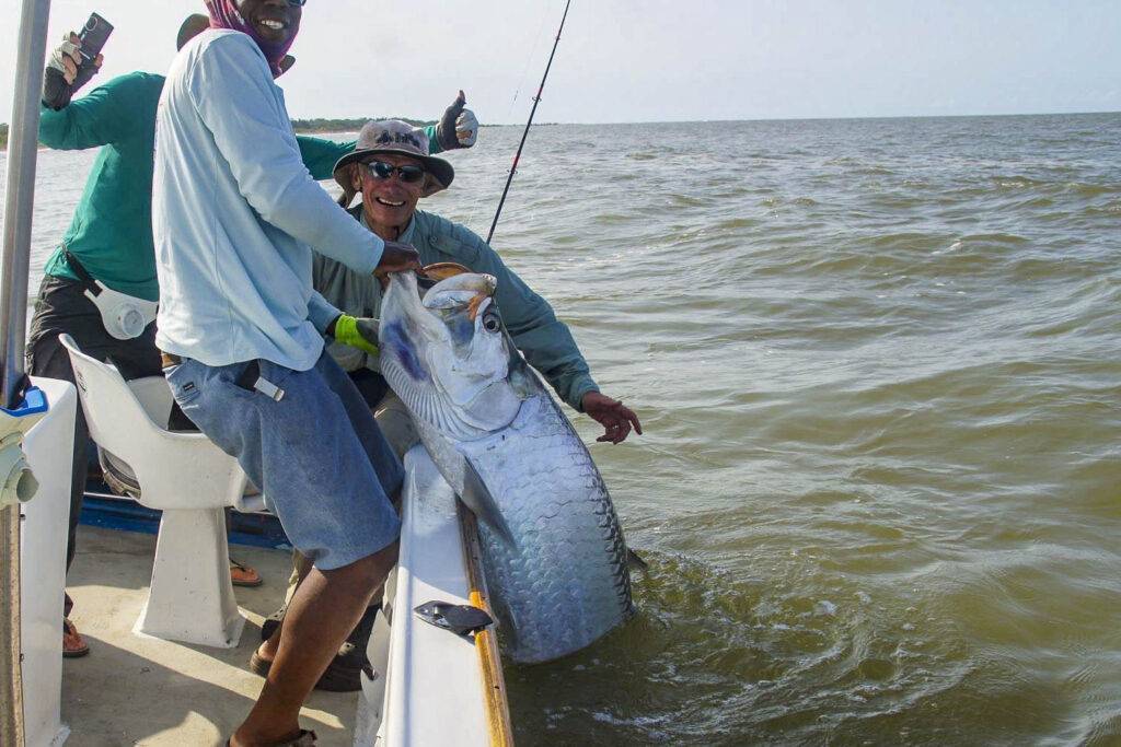 Costa Rica Tarpon