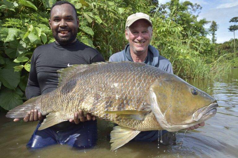 Spotted Bass gefangen in West Papua