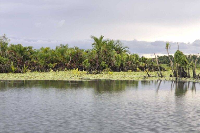 papua_tackle_landscapes-1