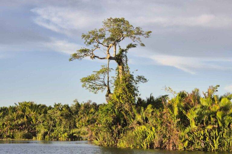 papua_tackle_landscapes-3