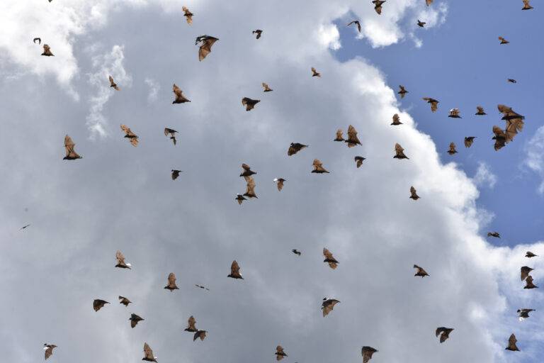 papua_tackle_landscapes-7