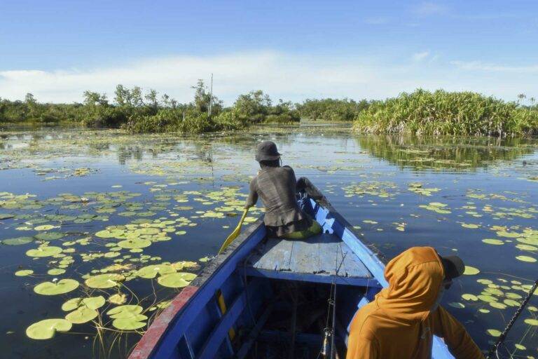 papua_boats_fishing-8