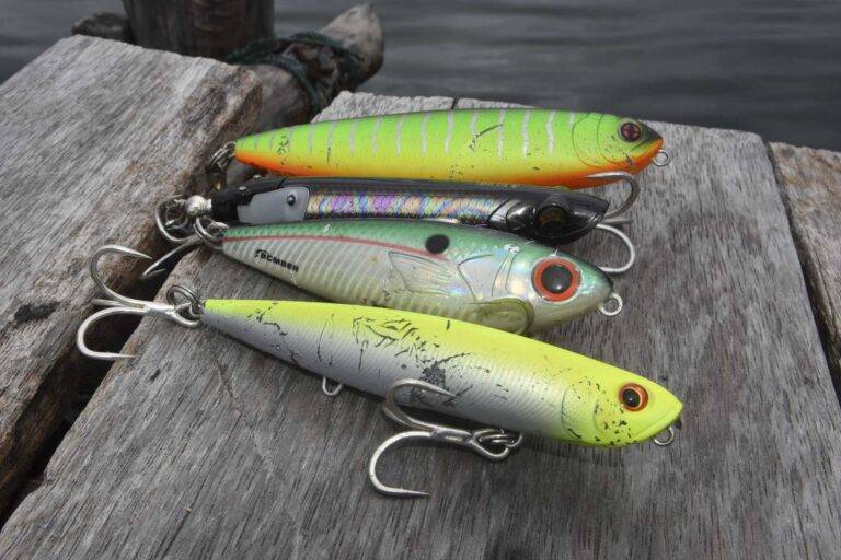 papua_tackle_landscapes-5