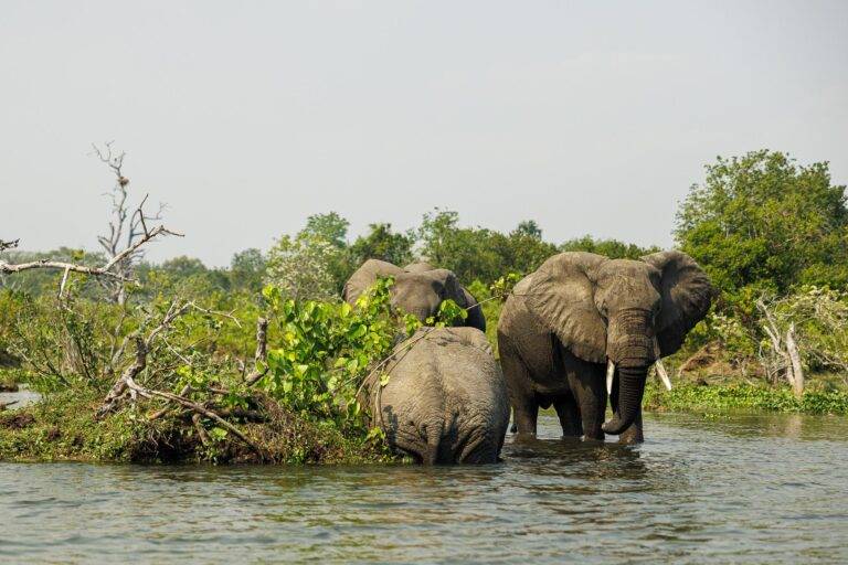 uganda_26-2