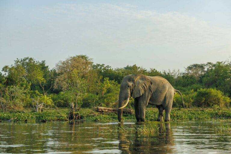uganda_26-24