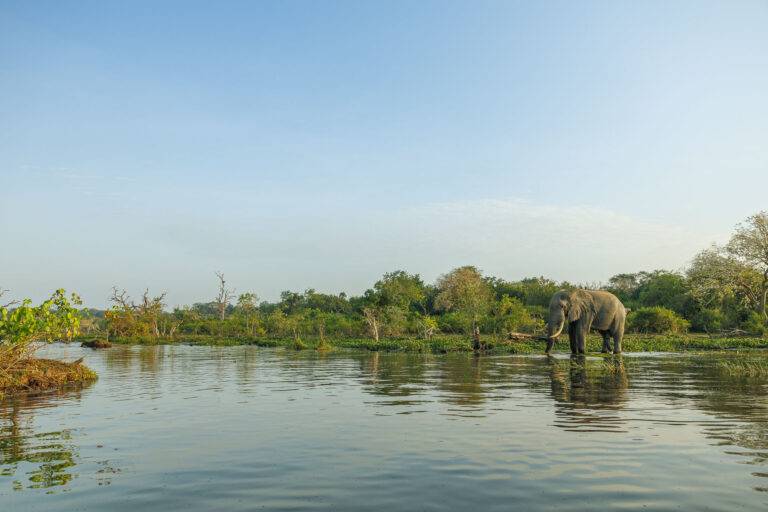 uganda_26-25