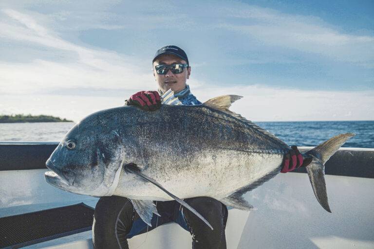 catches-13