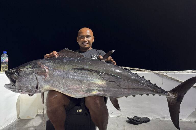 catches-29