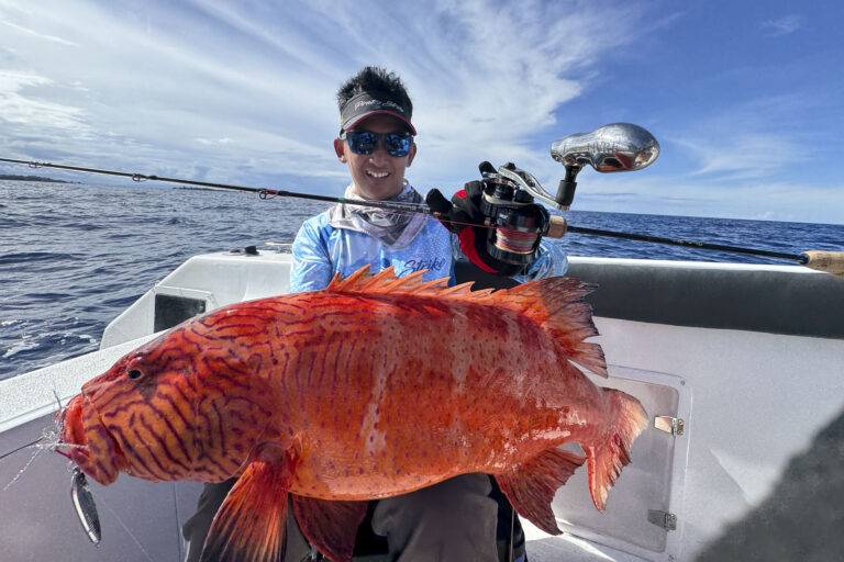 catches-3