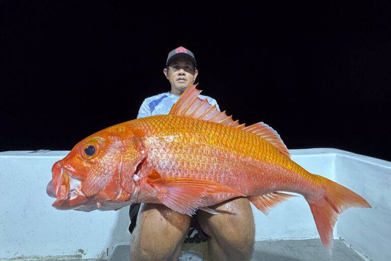 catches-34