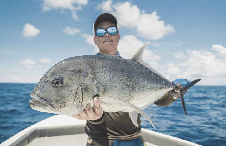 catches-16