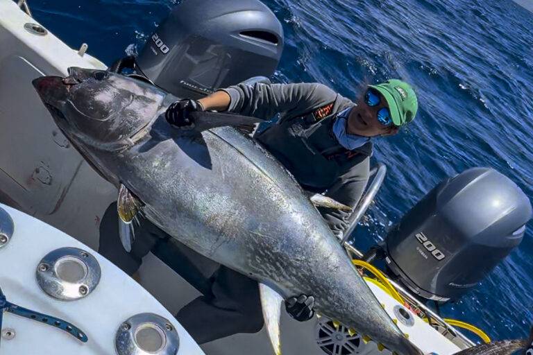 bluefin_morocco-9