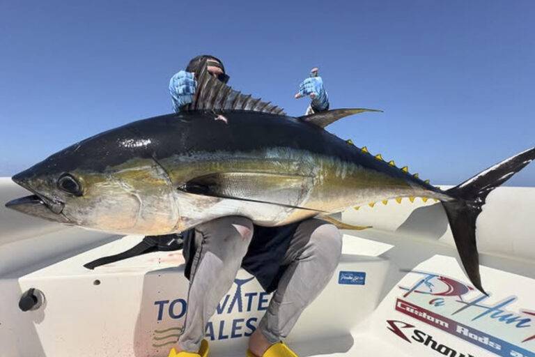 oman_thunfisch-13